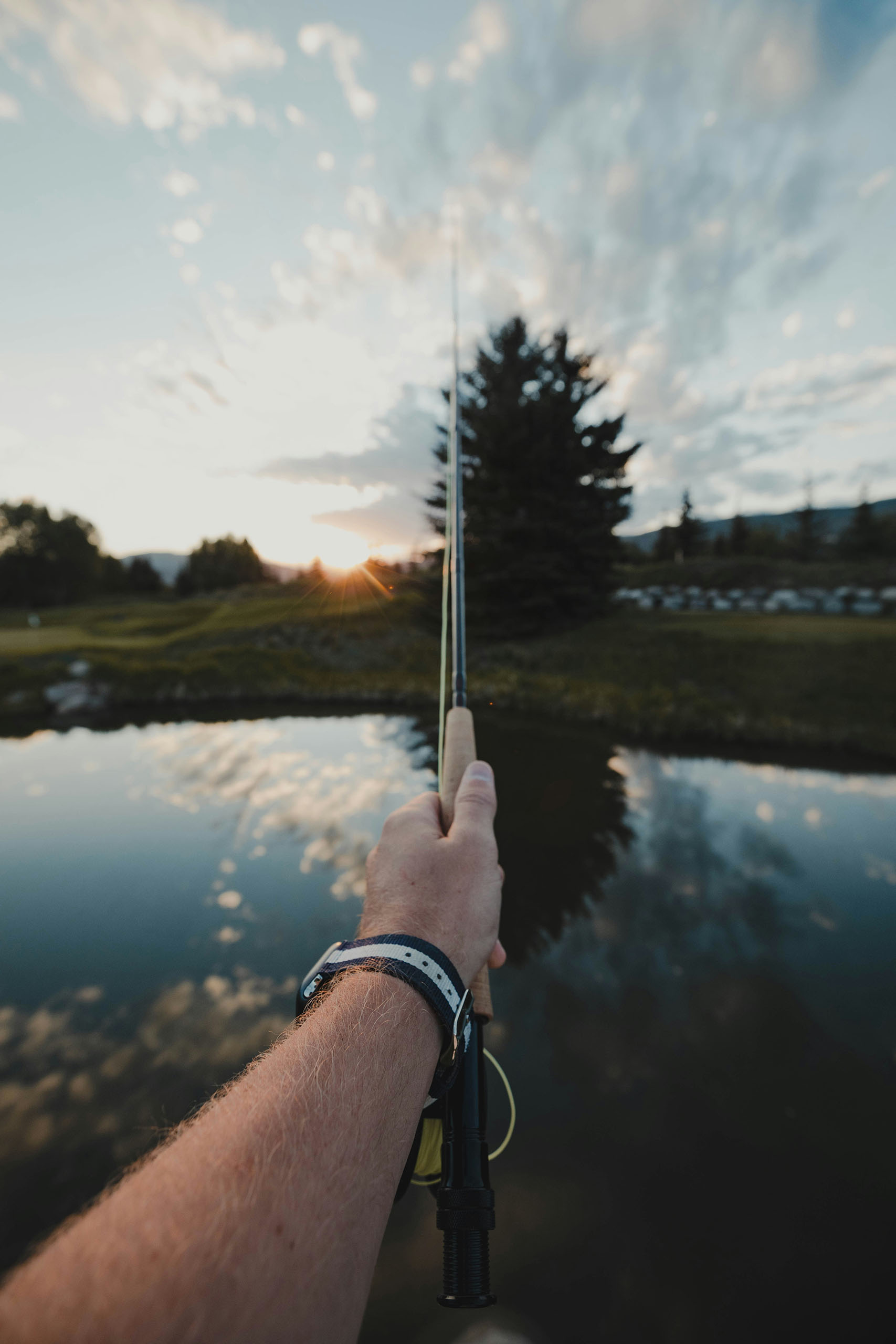 5 sposobów na pracę  przy rybach w Norwegii! 🎣